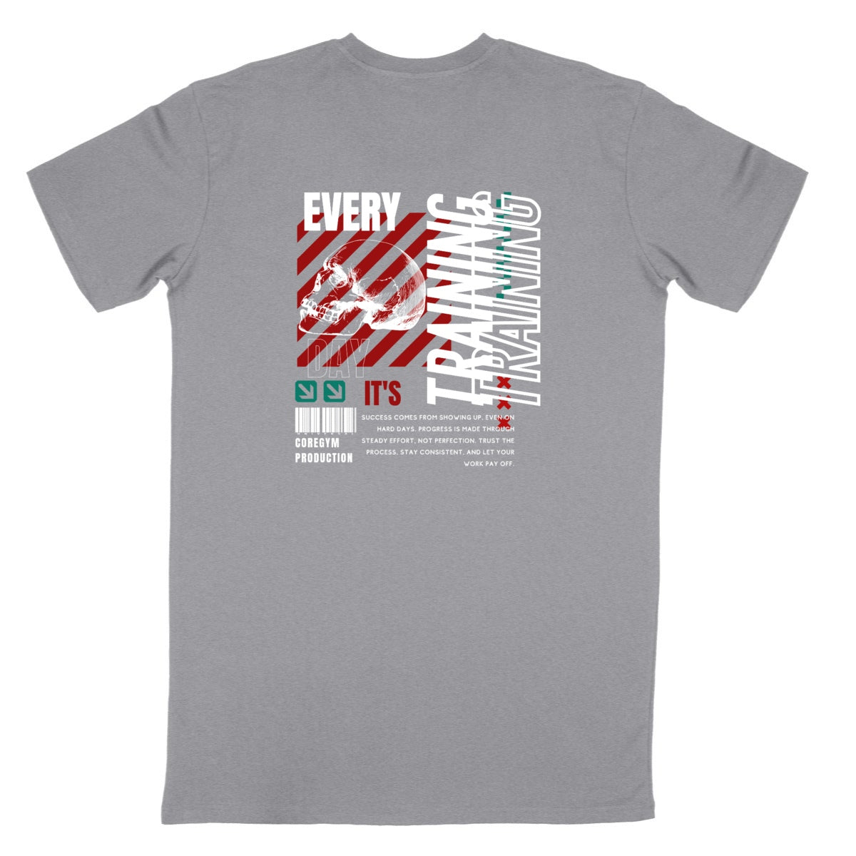 T REGU TRAININGX2 Couleurs - dos_gris